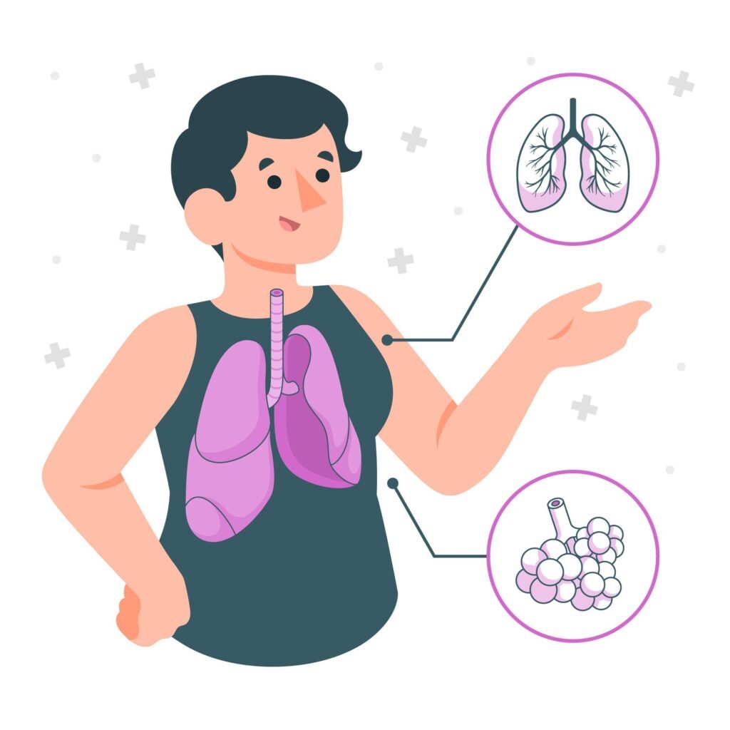 Human Lungs and Respiratory System